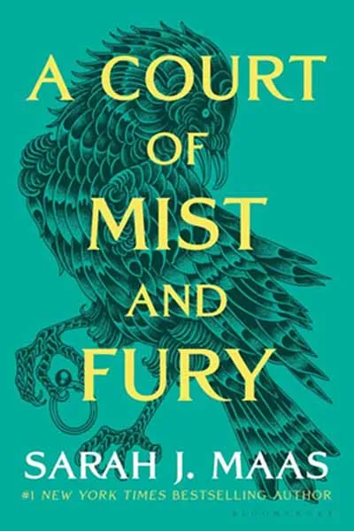 A Court of Mist and Fury Book Cover — Recommendations