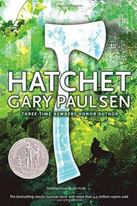 Hatchet Book Cover — Recommendations