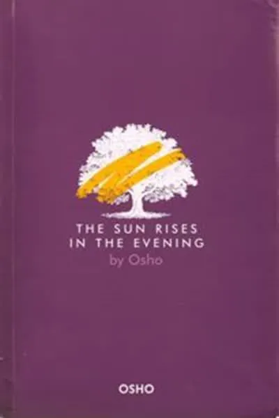 Sun Rises in the Evening Book Cover — Recommendations