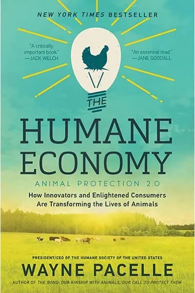 Book Cover — Recommendations