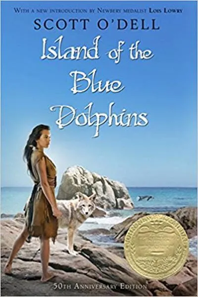 Book Cover — Recommendations