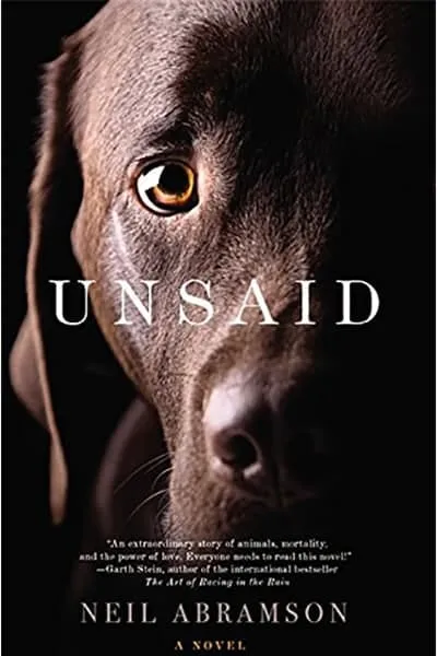 Unsaid Book Cover — Recommendations