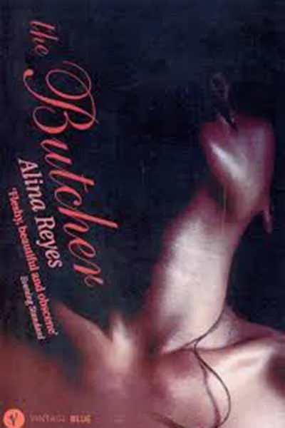 The Butcher Book Cover - Recommendations