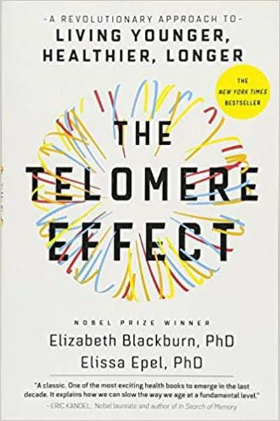 Book Cover — Recommendations
