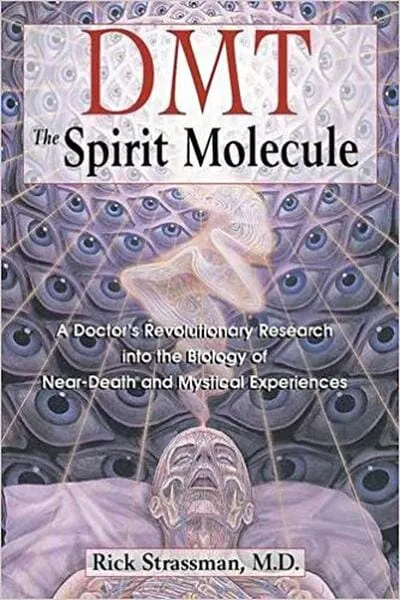 DMT Book Cover - Recommendations