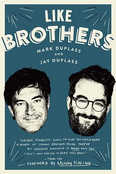 Like Brothers Book Cover - Recommendations