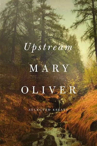 Upstream Book Cover — Recommendations