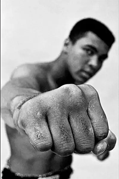 Ali: A Life Book Cover — Recommendations