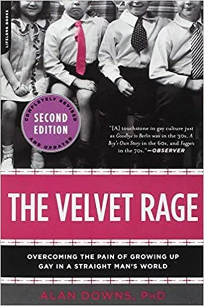 The Velvet Rage Book Cover - Recommendations