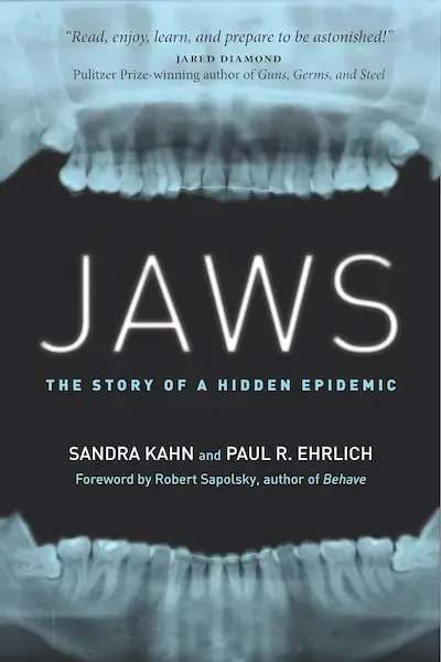 Jaws Book Cover - Recommendations