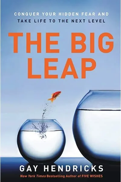 The Big Leap Book Cover - Recommendations