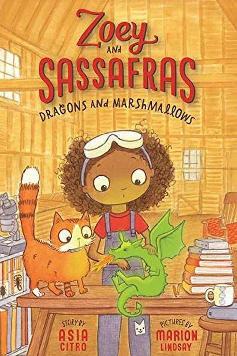 Dragons and Marshmallows Book Cover — Recommendations