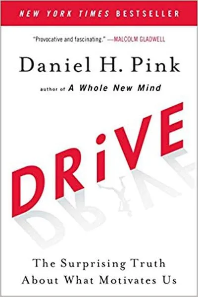 Drive Book Cover - Recommendations