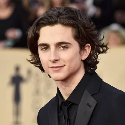 Timothée Chalamet - Book Recommendations (BookSelects)